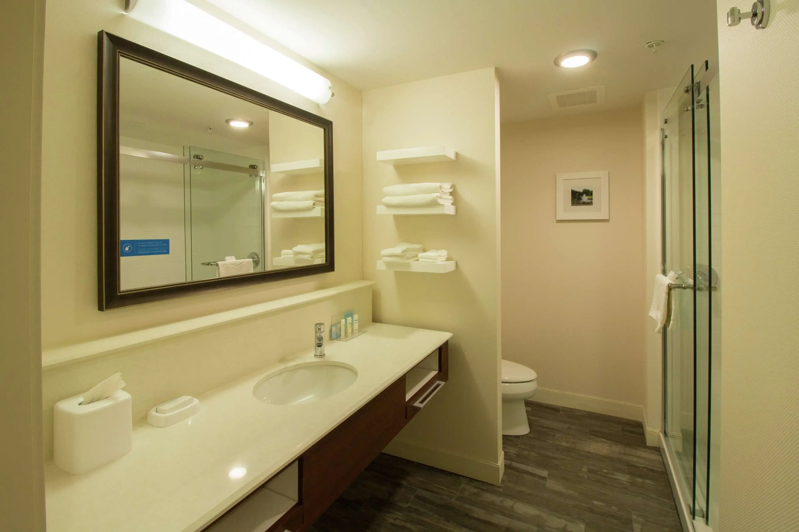 Hampton Inn & Suites Cazenovia