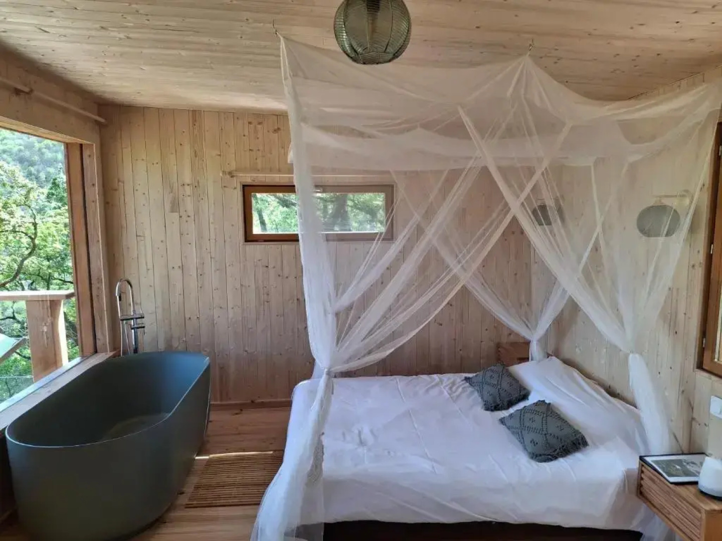 Hetre Sous Le Charme