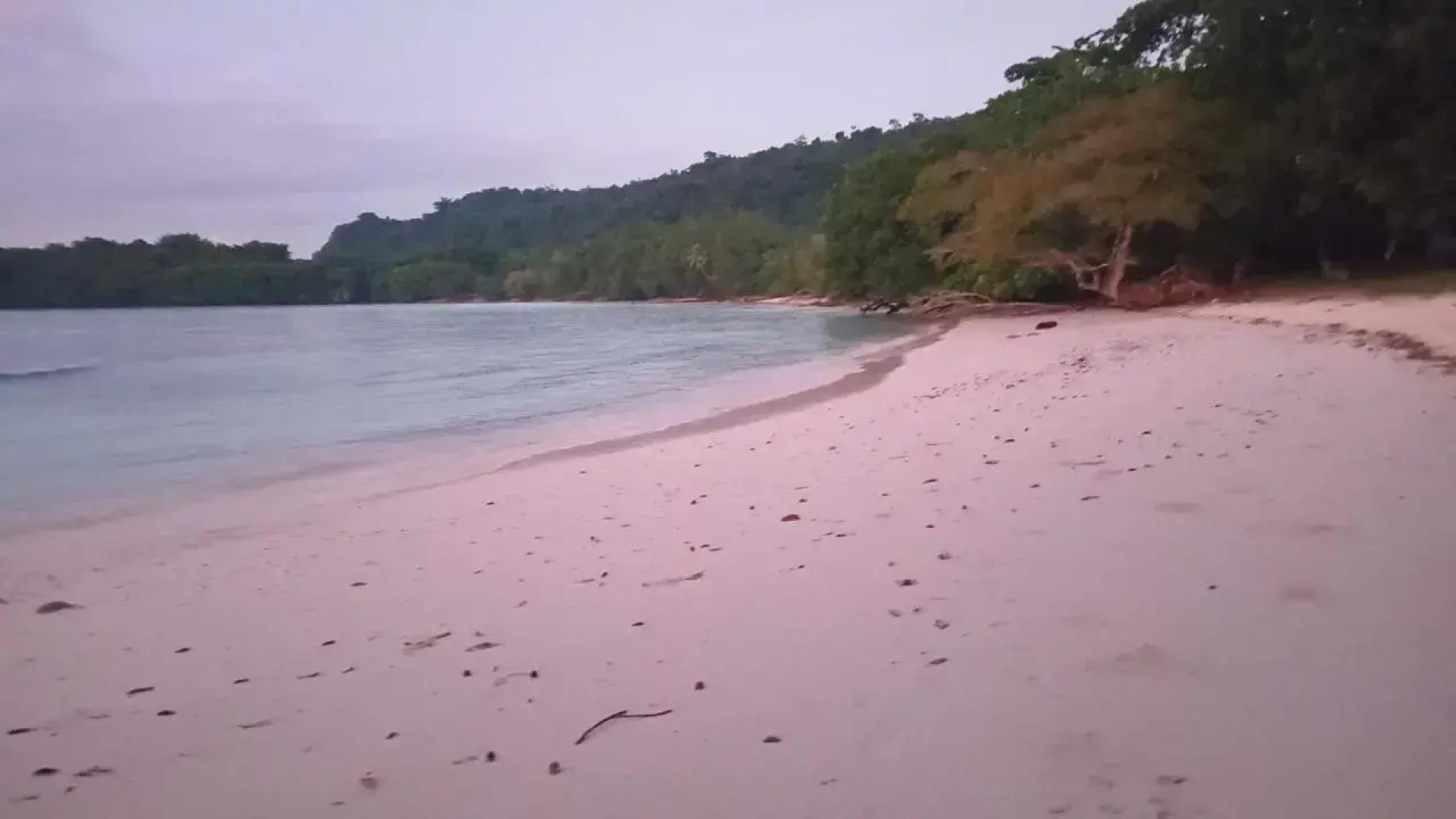 Lonnoc Beach Bungalows