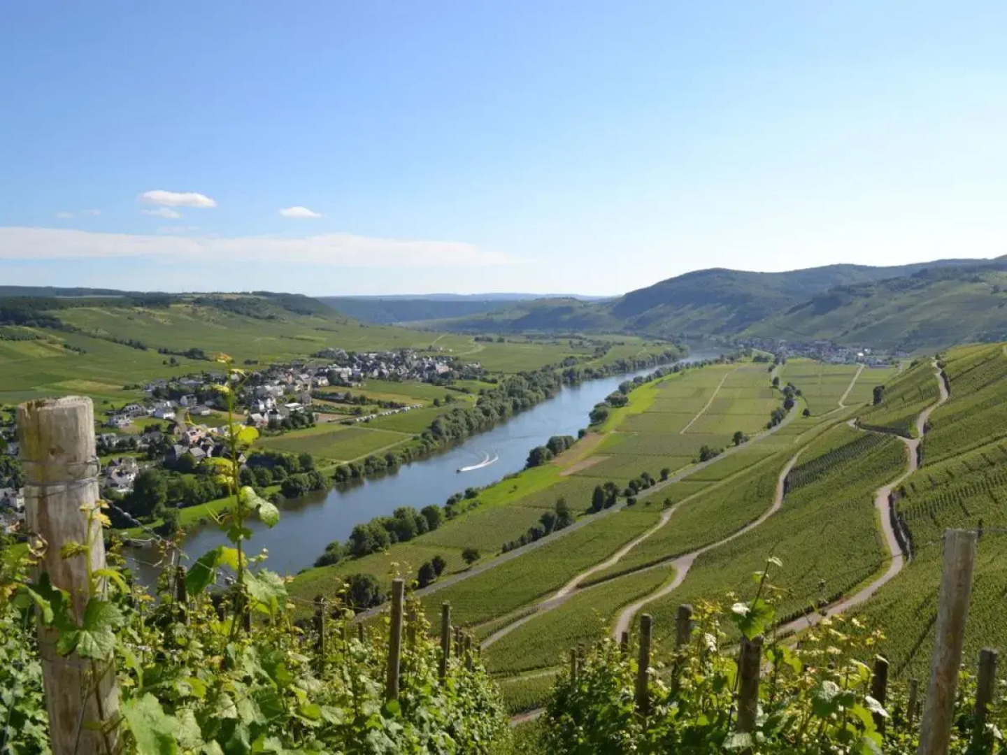 Weingut Mathy-Schanz