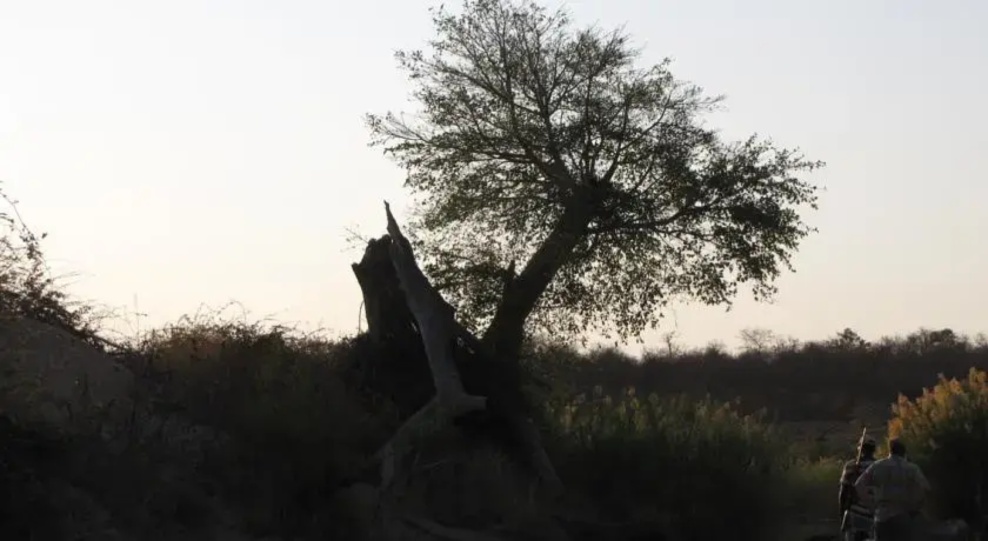 Ingwe Historical Accommodation