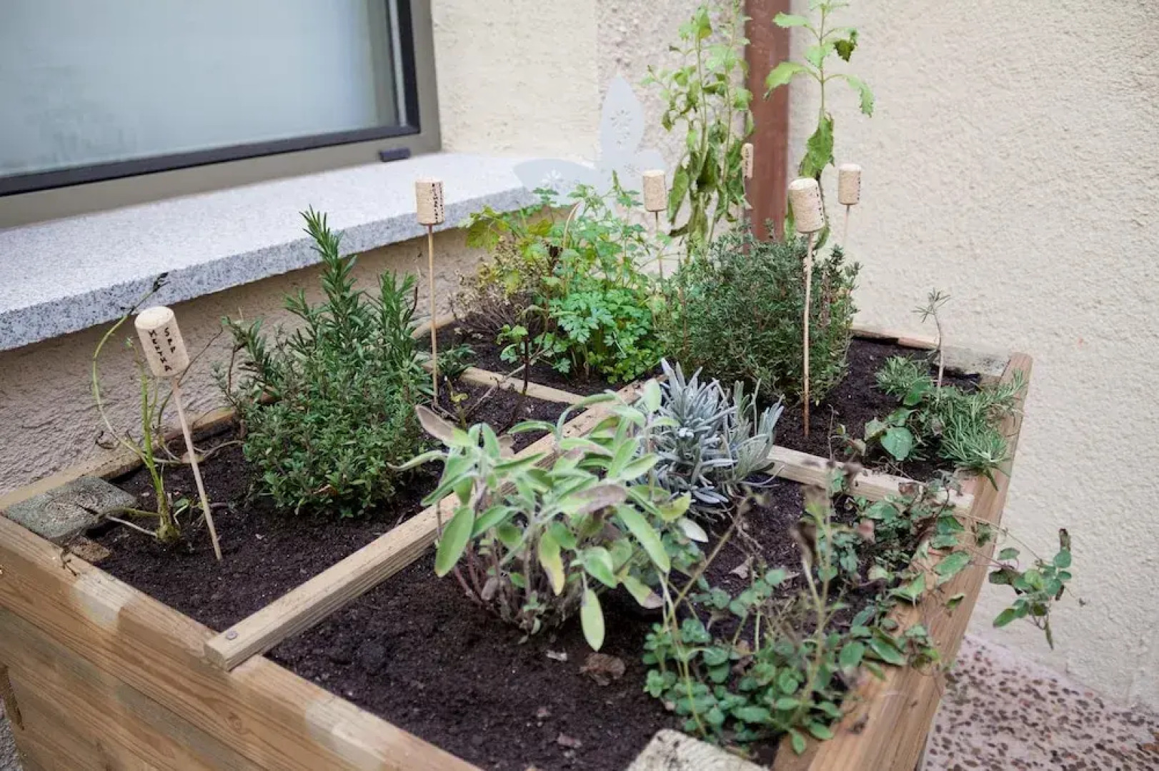 El Encanto Hotel & Cafetería