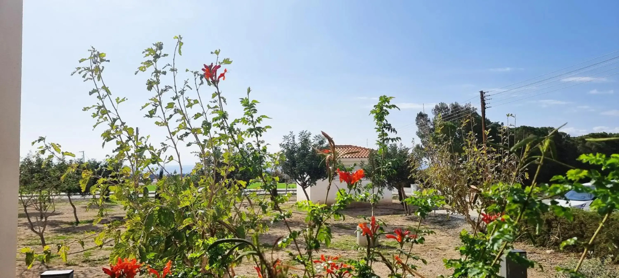 Shanti Paphos Holiday House