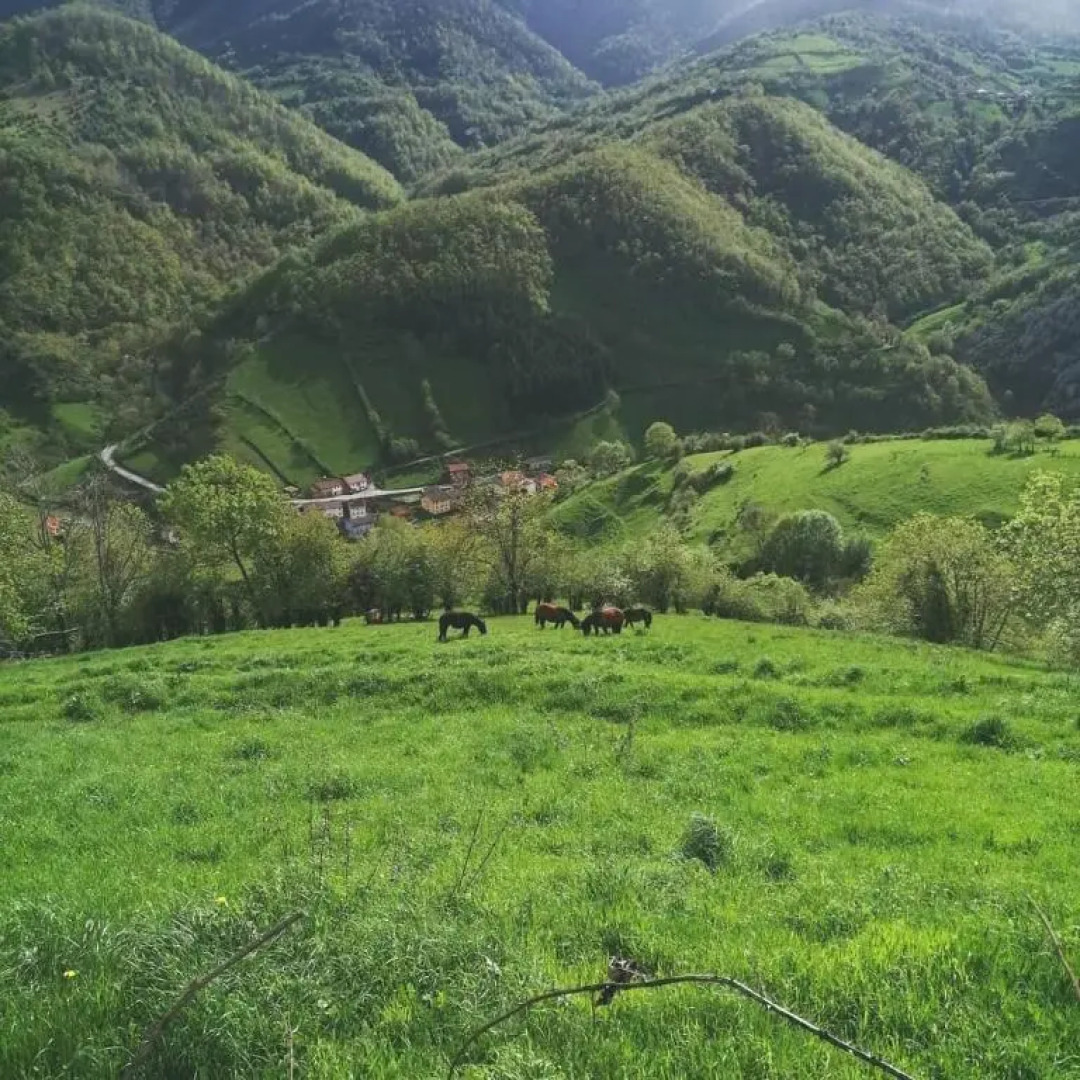 Apartamentos Rurales El Privilegio