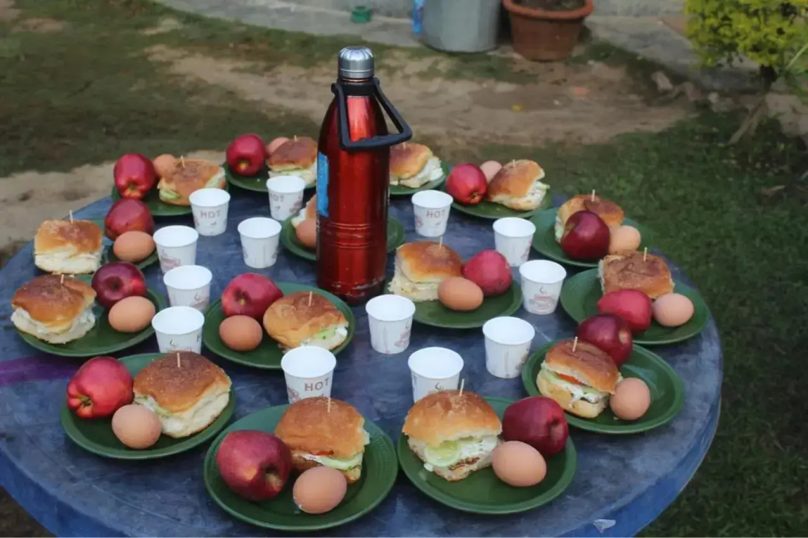 Suklaphanta Jungle Cottage