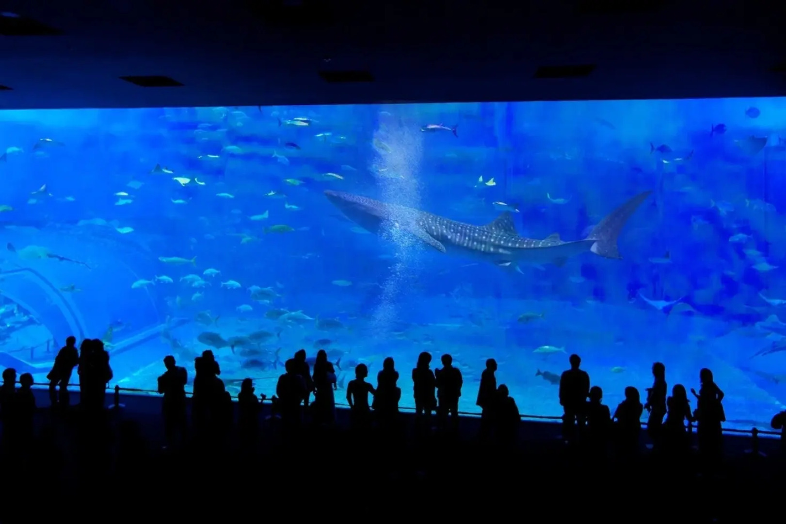 SEA SIDE HOUSE Ogimi