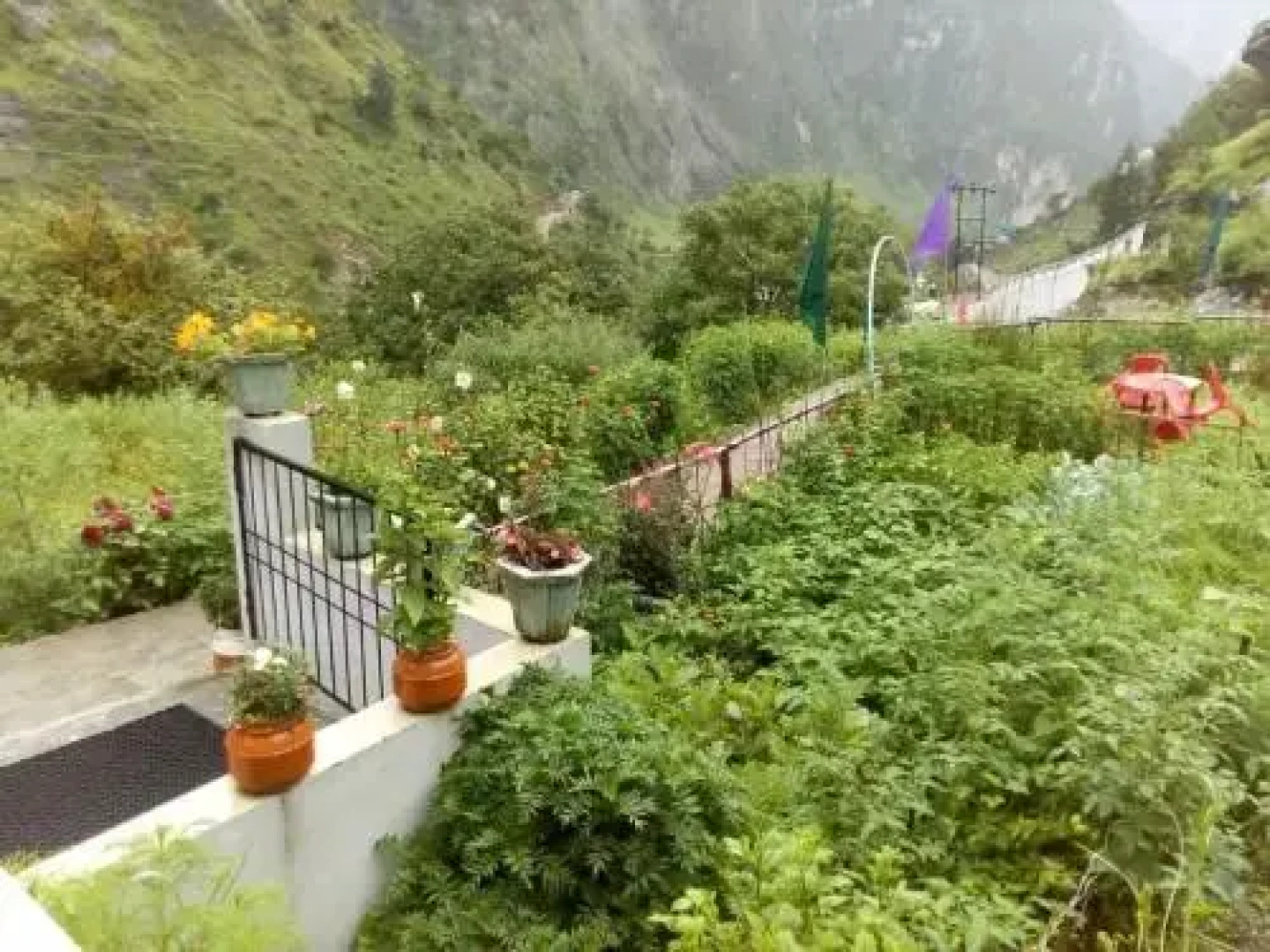 Peaceful stay in course of Nature