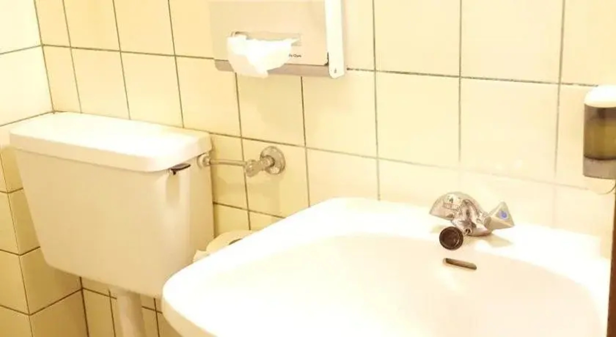 Gasthof zum grnen Baum