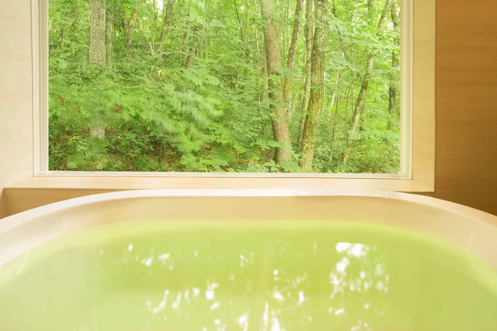 Hotel Ryu Resort and Spa