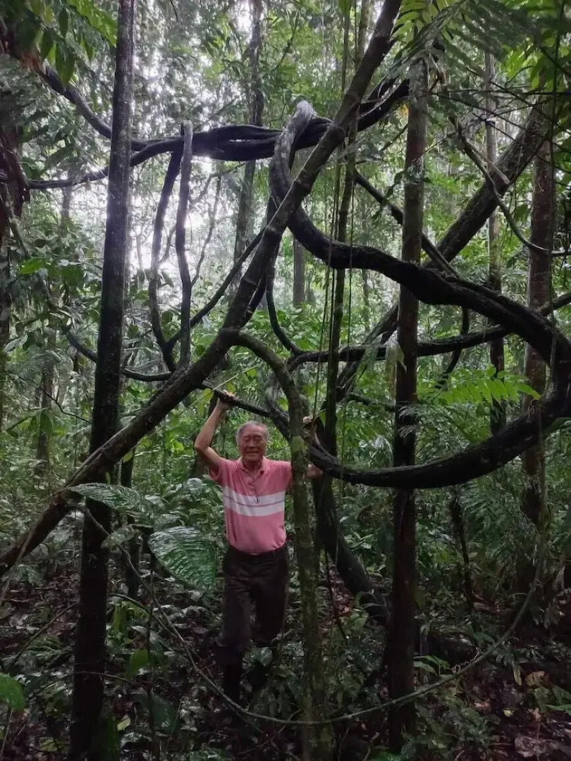 Ayawaska Atractivo Sacha Wasi