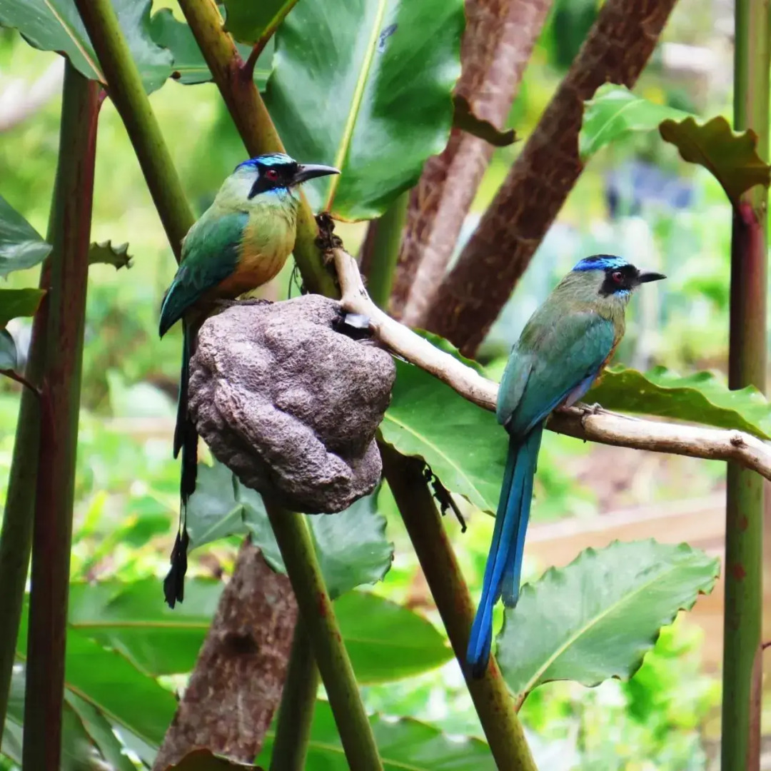 Sindamanoy Centro de Bienestar
