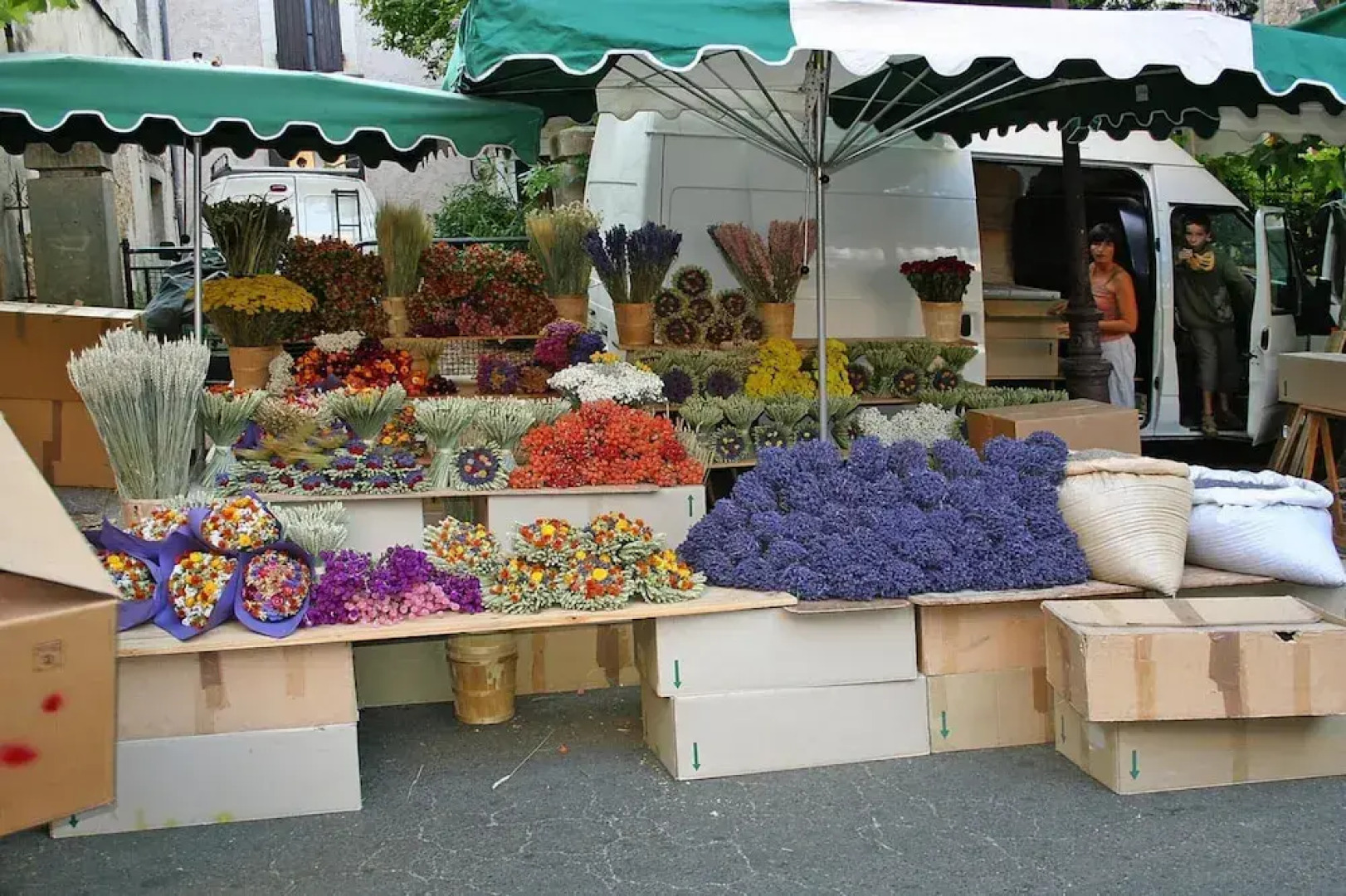 Holiday Home in Puymeras With Garden