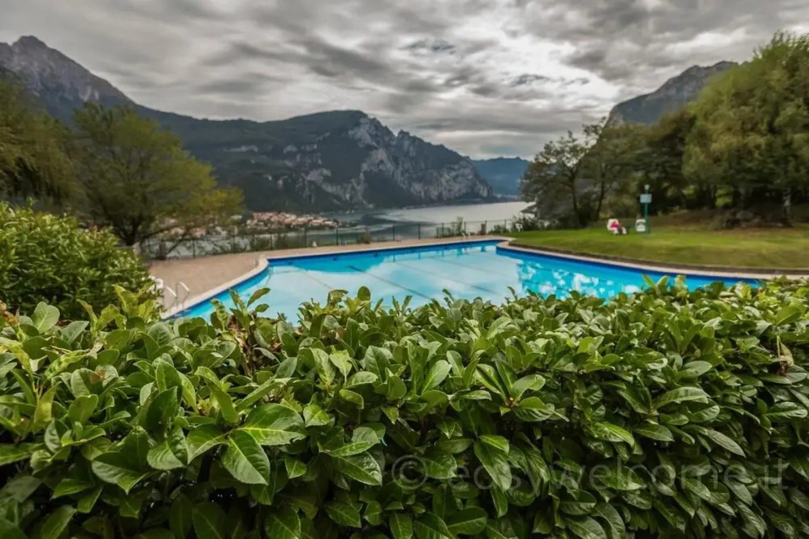 Easy Welcome Kosmopolitan