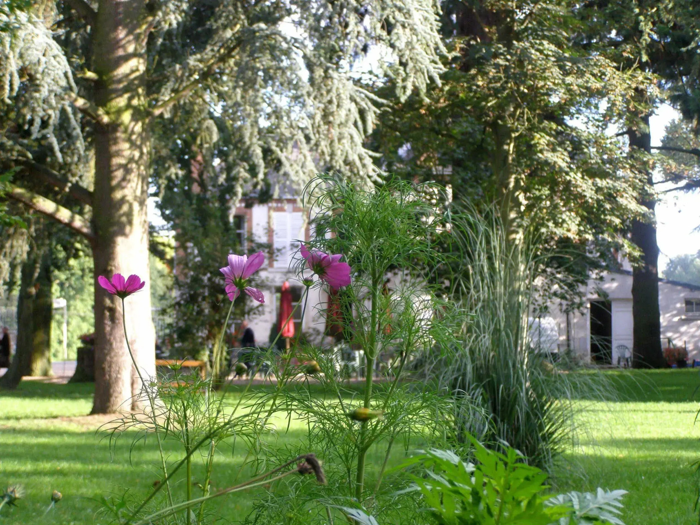 Hotel La Villa des Bordes