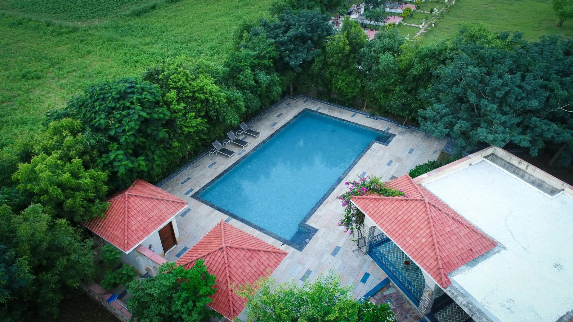 Tree of Life Kipling Jungle Lodge, Ranthambore