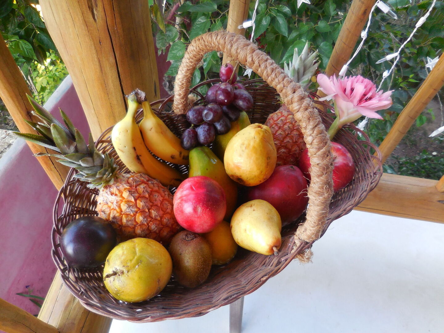 Pousada Jardim das Margaridas