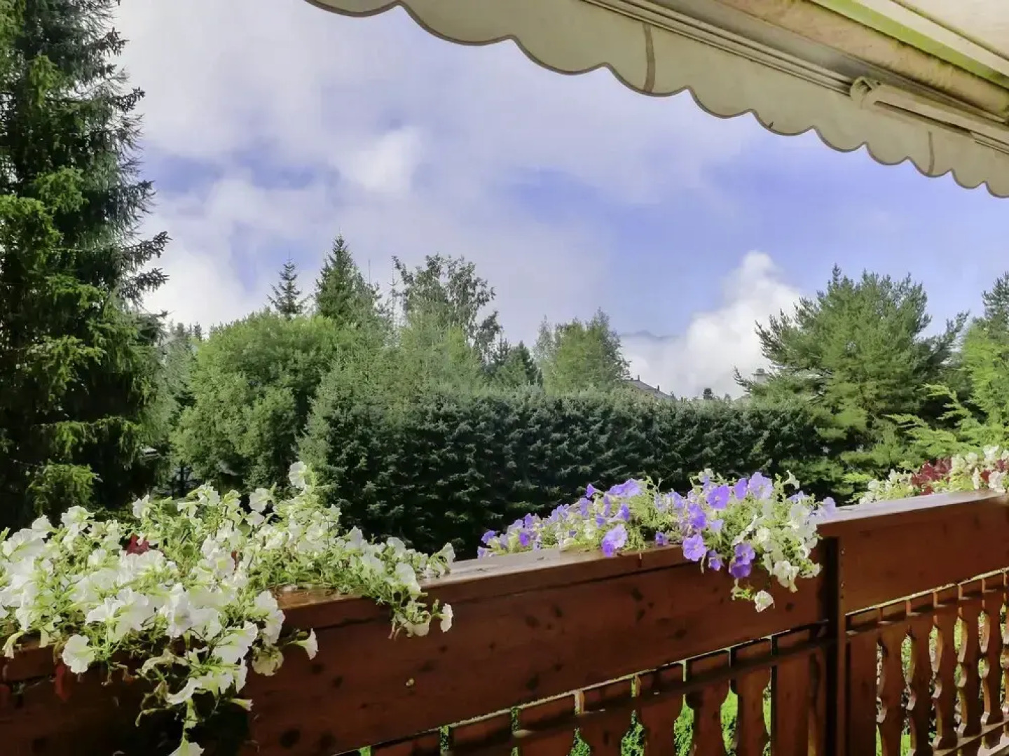 Soldanella Lens in Lens