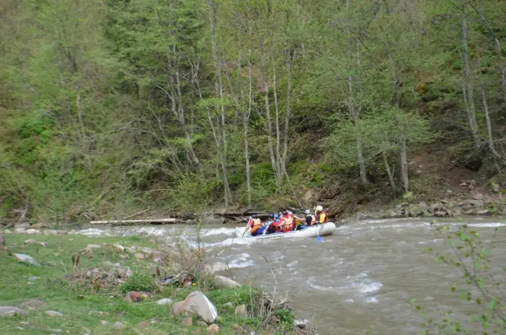 Sadyba Lisova Kvitka