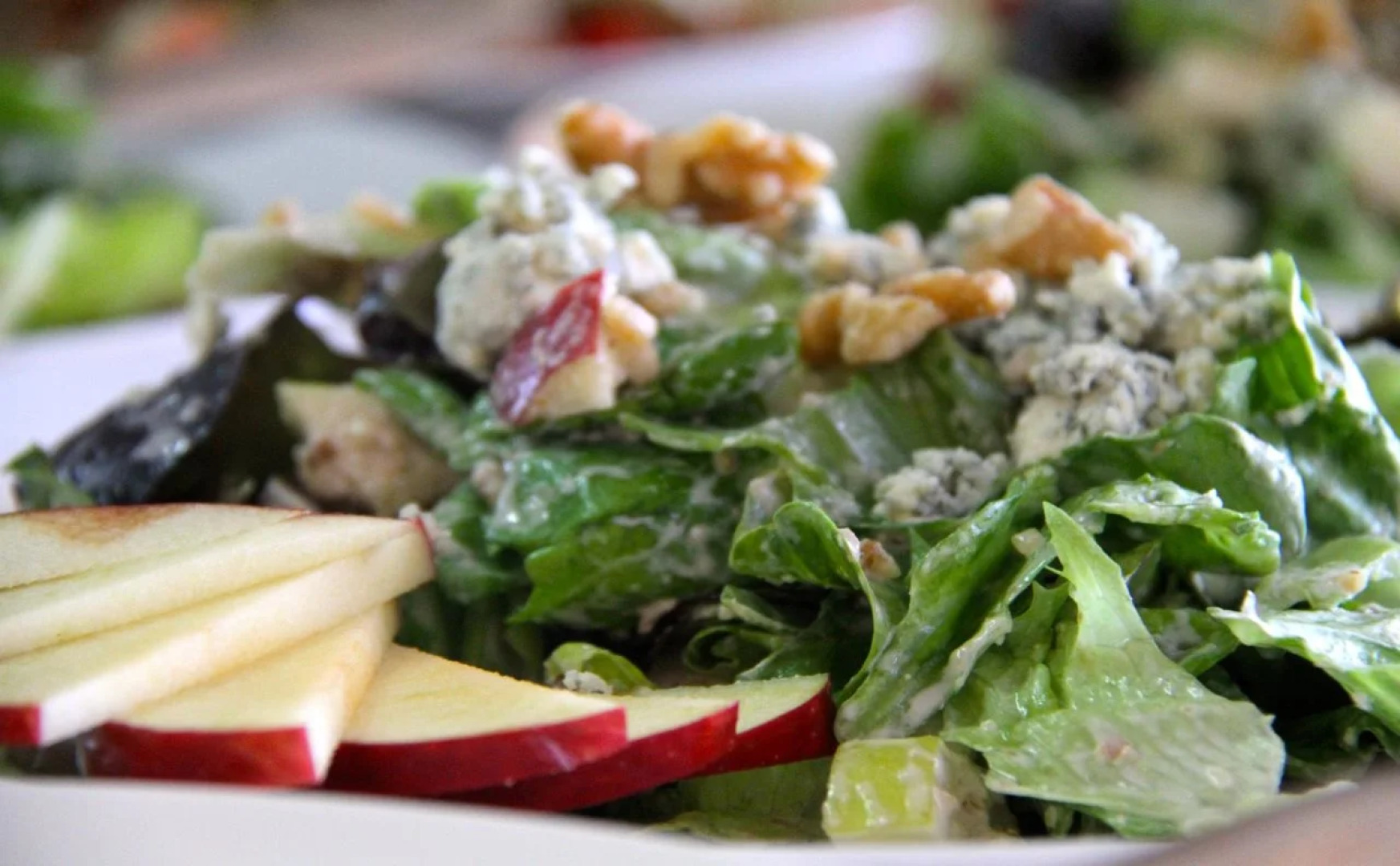 Notre Dame of Jerusalem Center