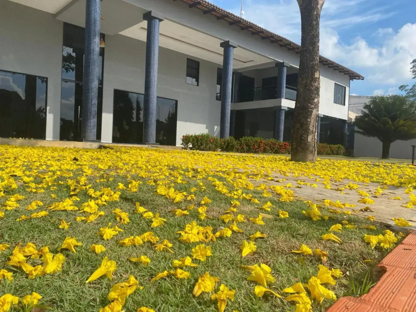 Toddes Exclusive Resort