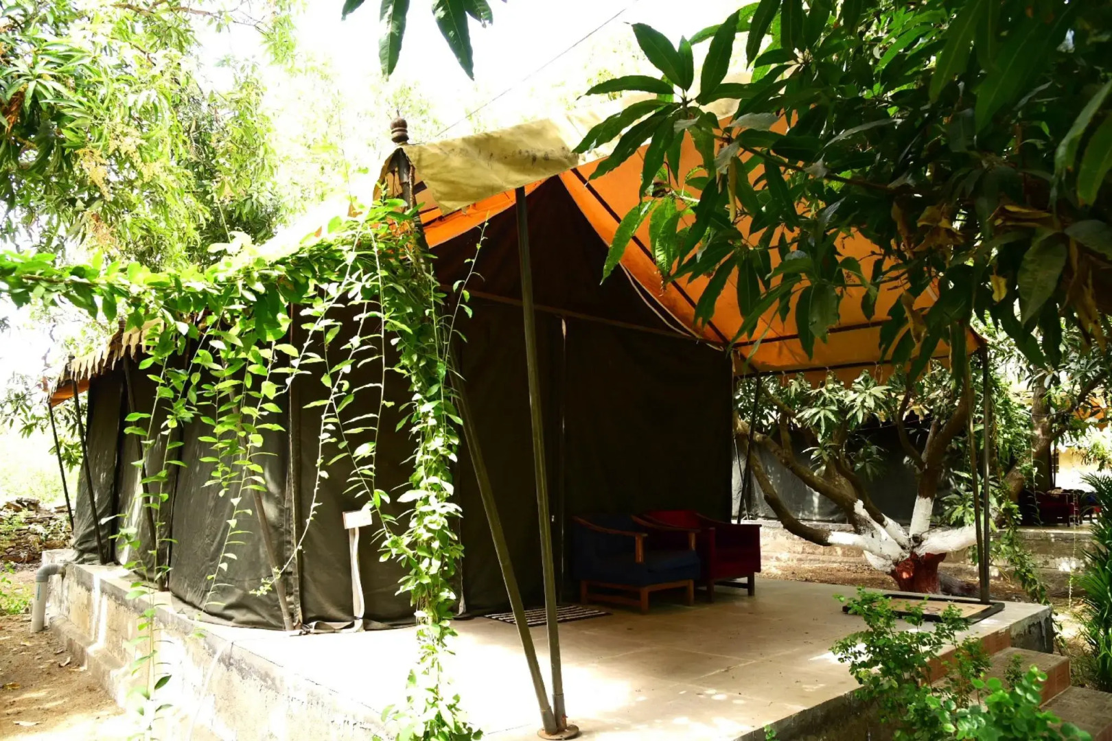 Gir County Home Stay