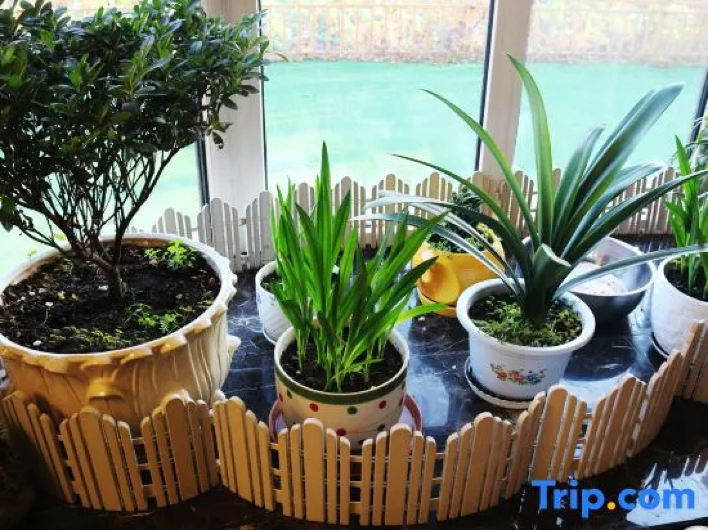 Yabuli Yabuluoni Private Villa