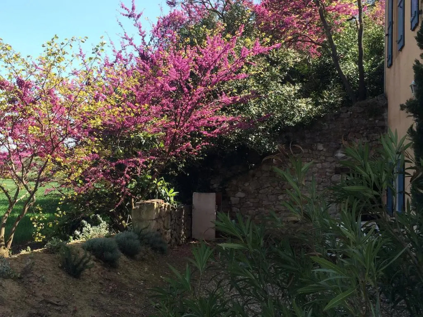 Gîtes Pech-Céleyran