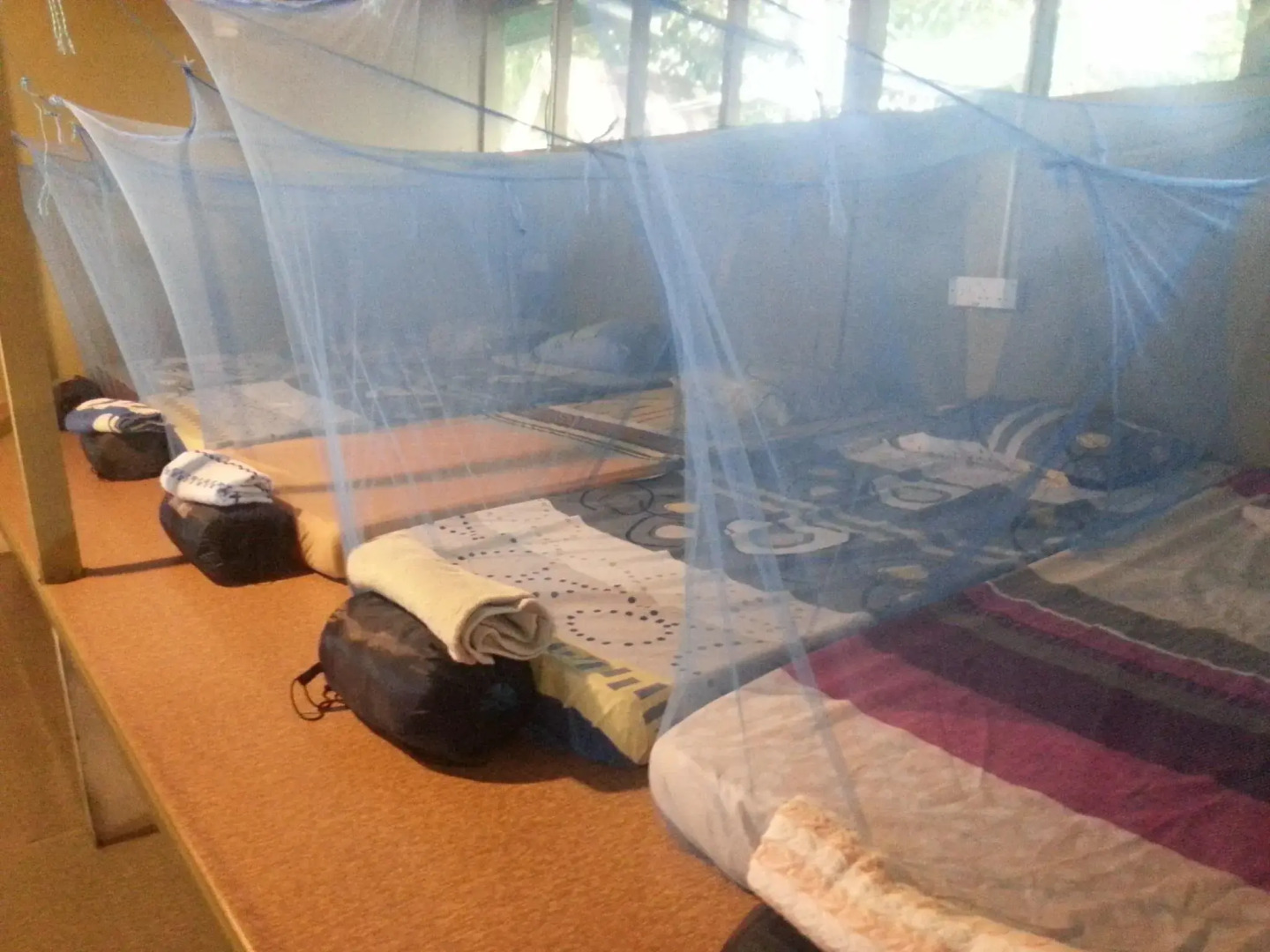 Monkey Tops River Lodge