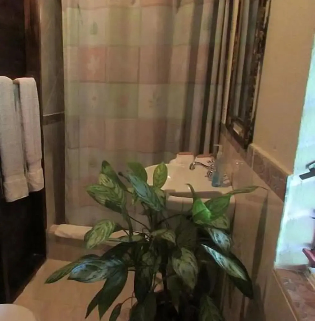 RafJam Bed and Breakfast