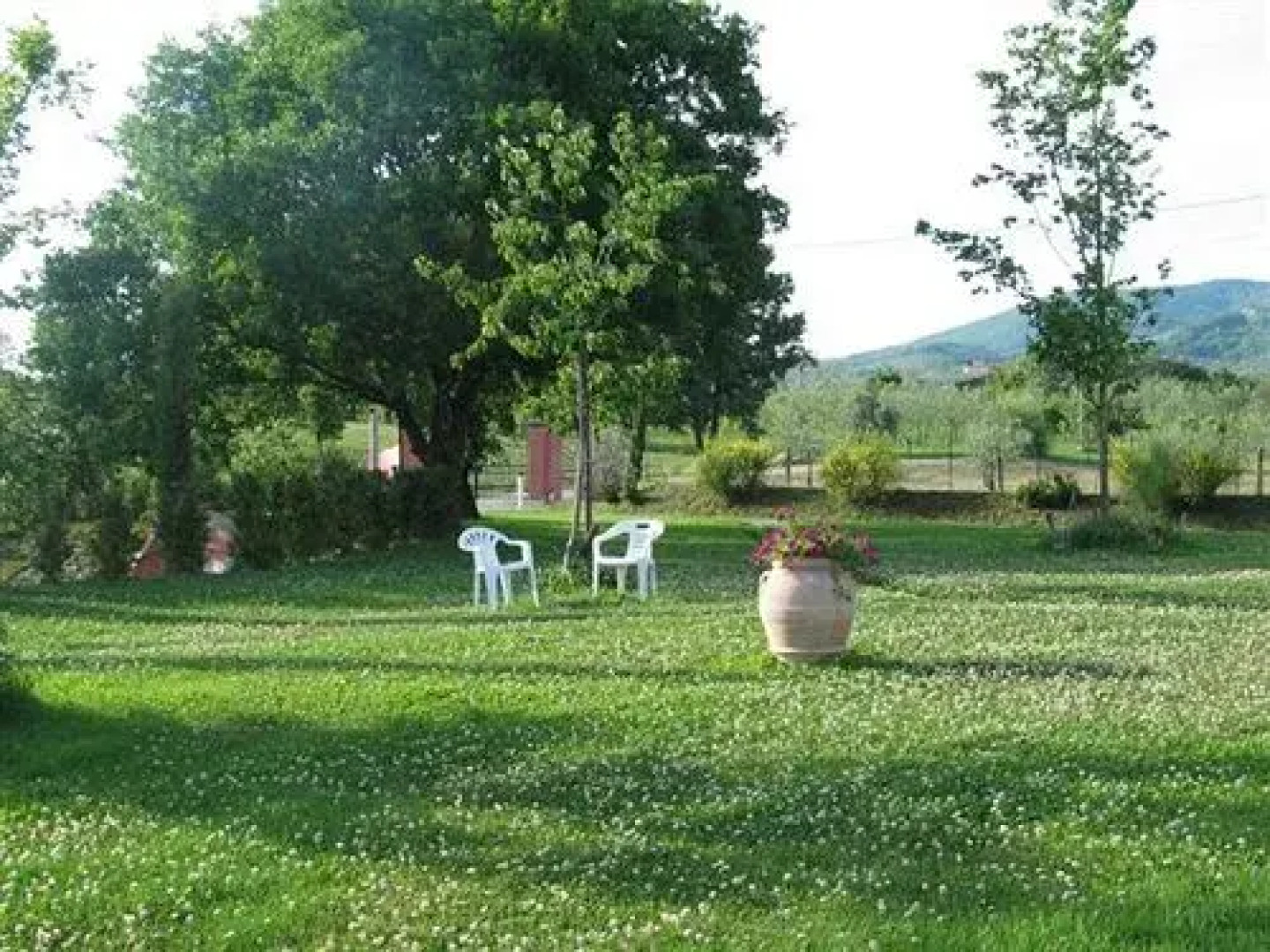 Tenuta Il Vallone