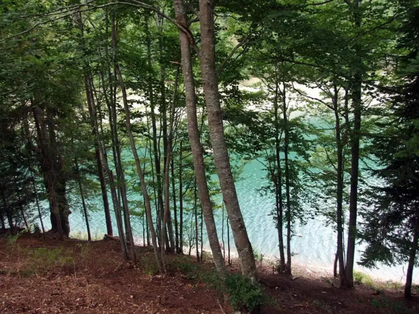 Big and Little Heaven Apartments