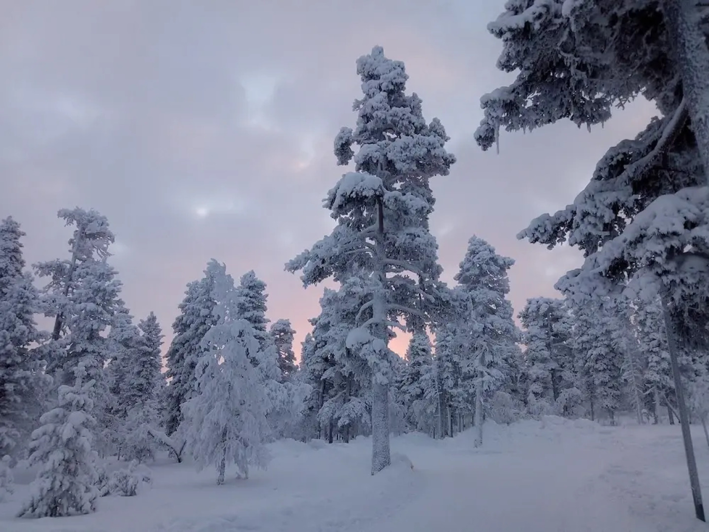 LUMILINNA-Mainiot Majat