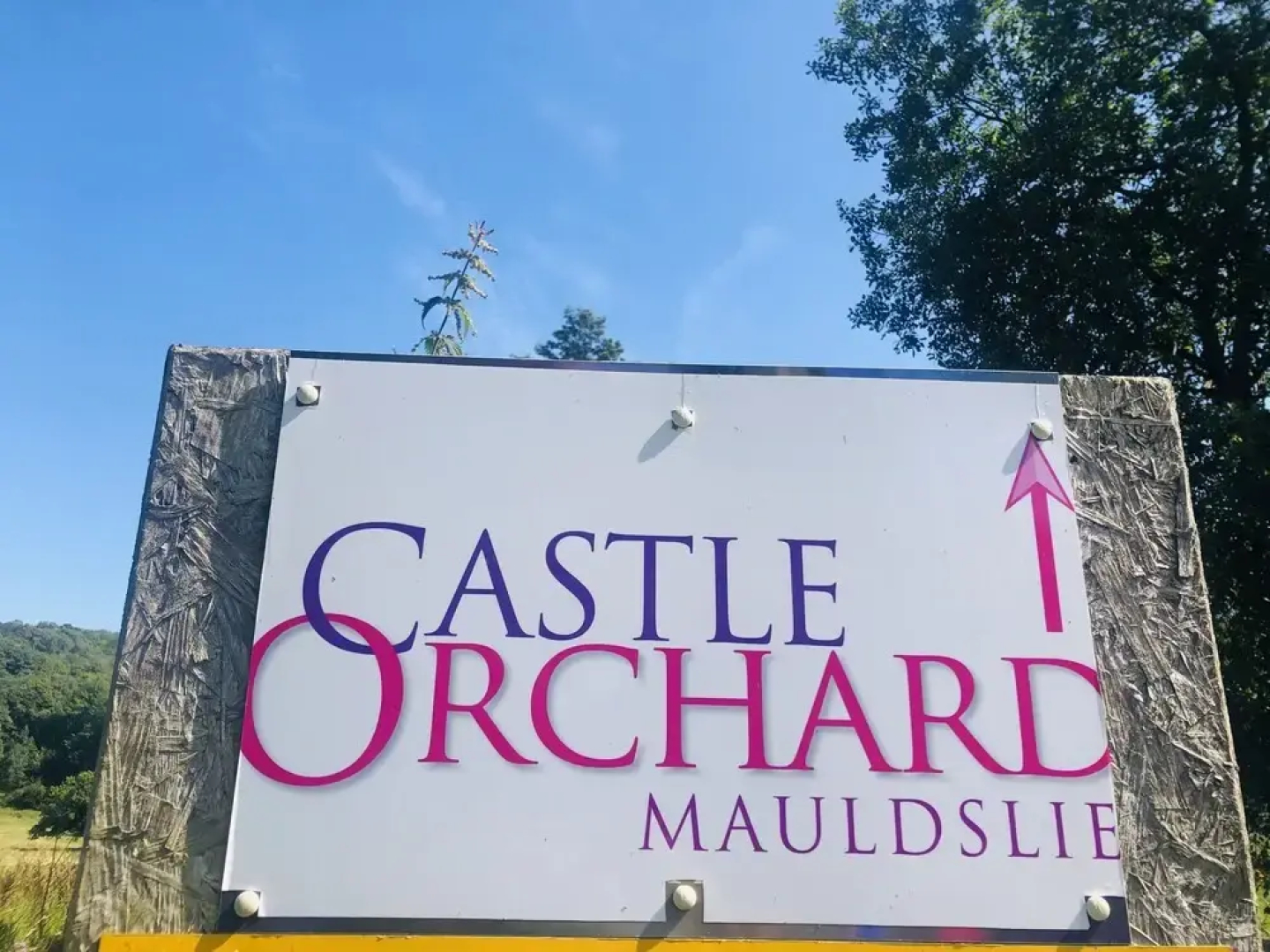Stunning 1-Bed Apartment in Clyde Valley