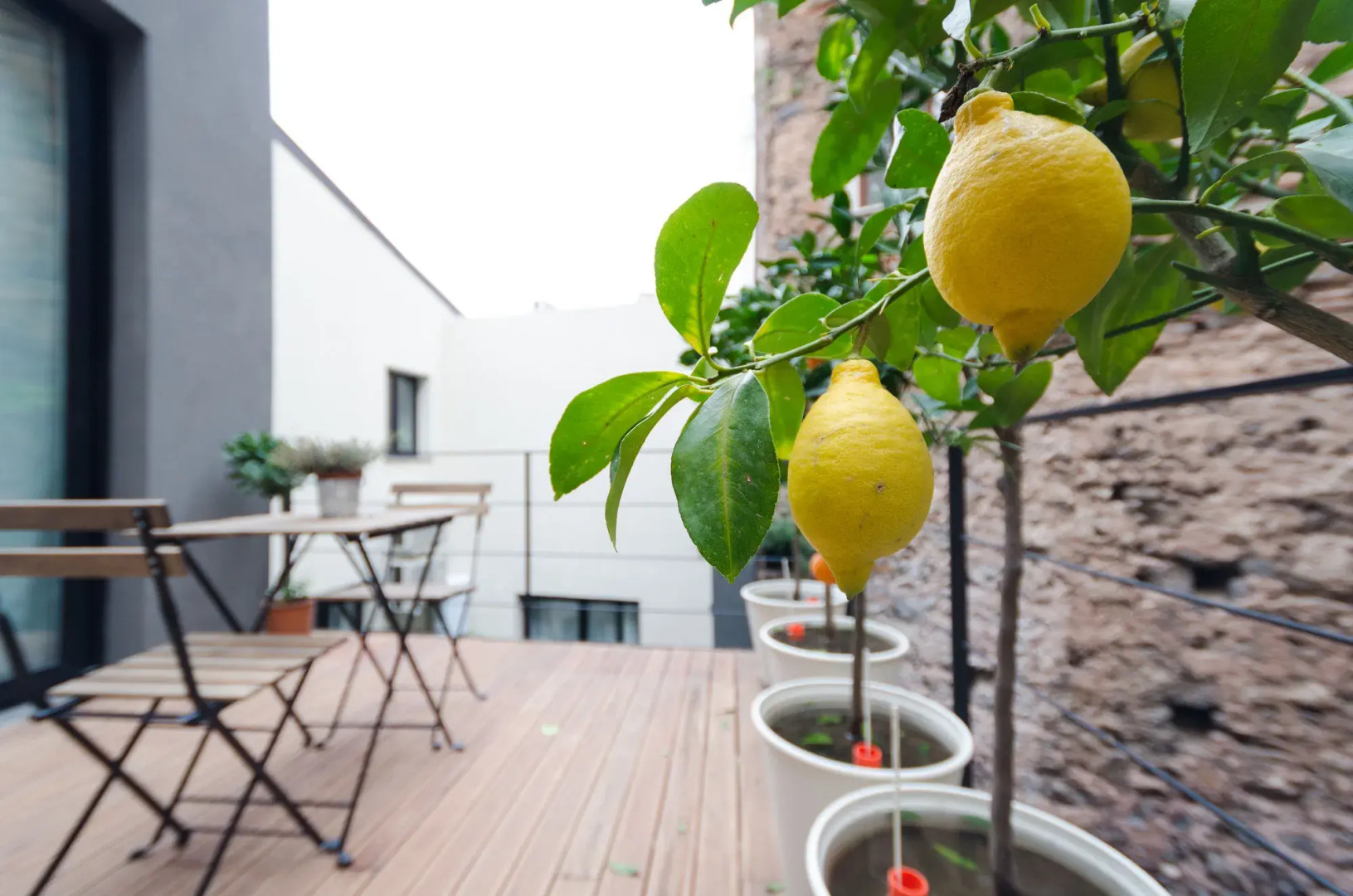 Pietranera Apartments