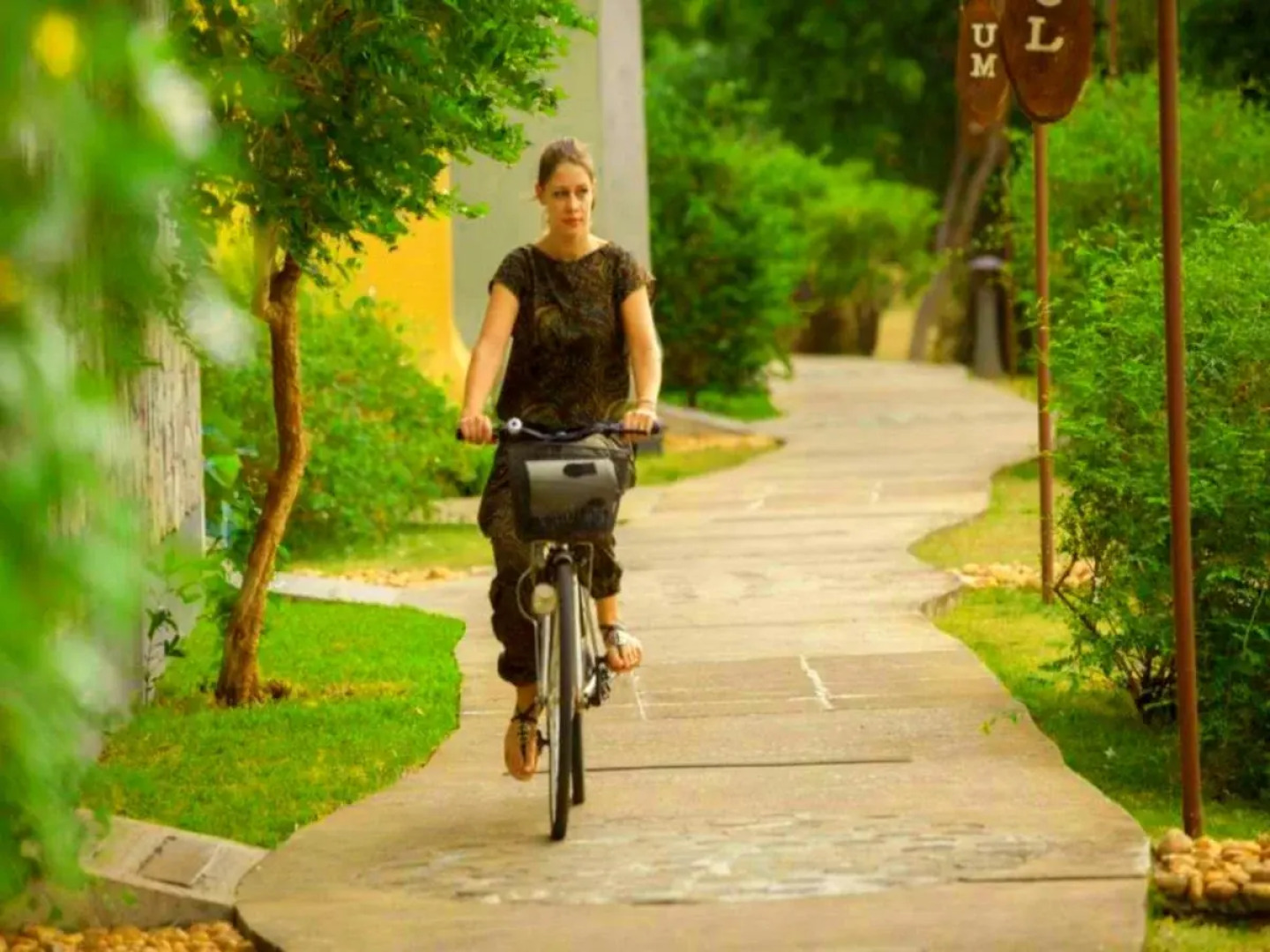 The Elephant Corridor Hotel