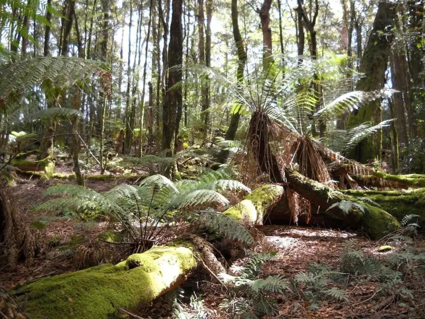 Gloucester on Avon Bed & Breakfast