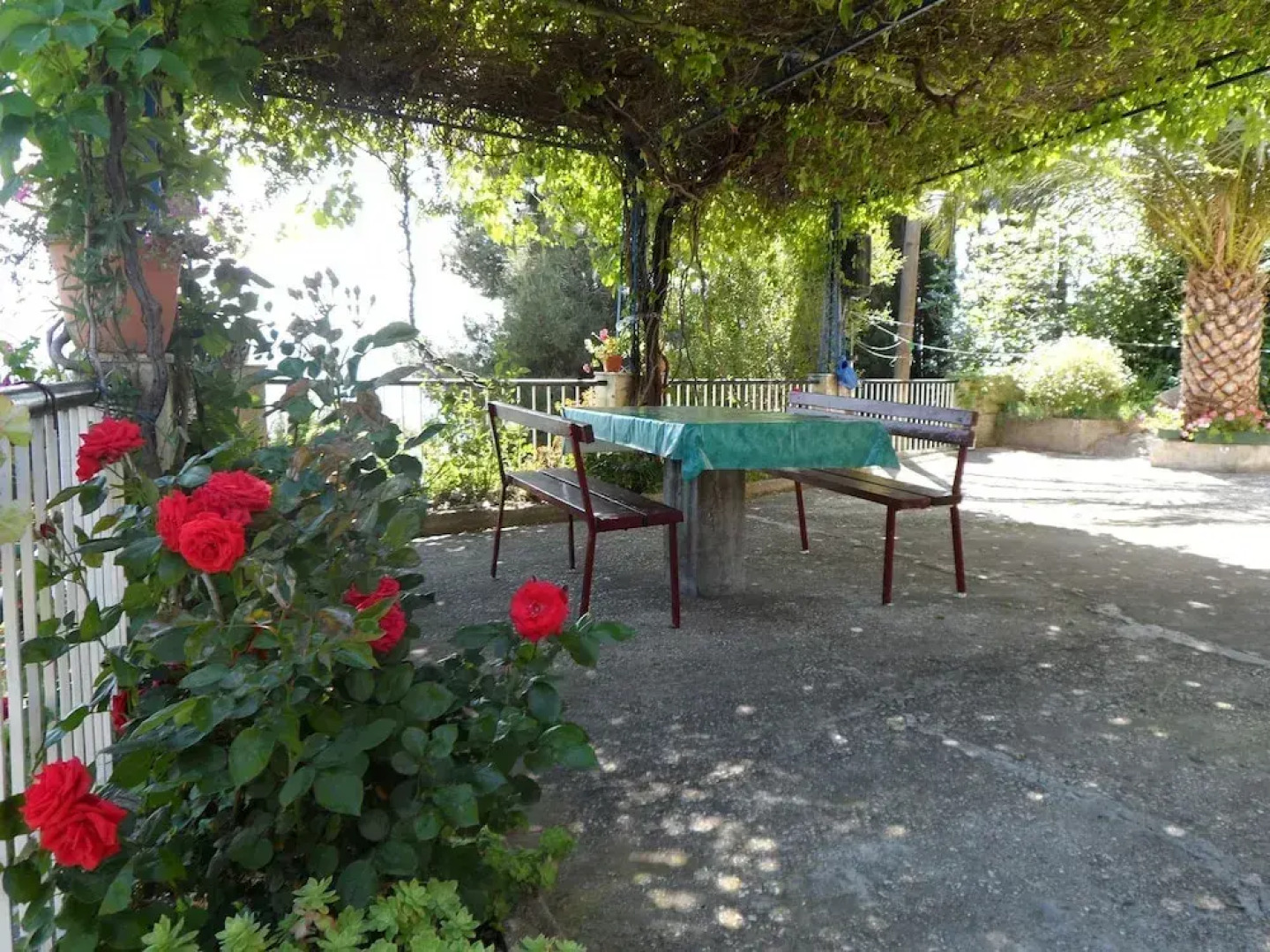 Mari - 40 m From sea - A2