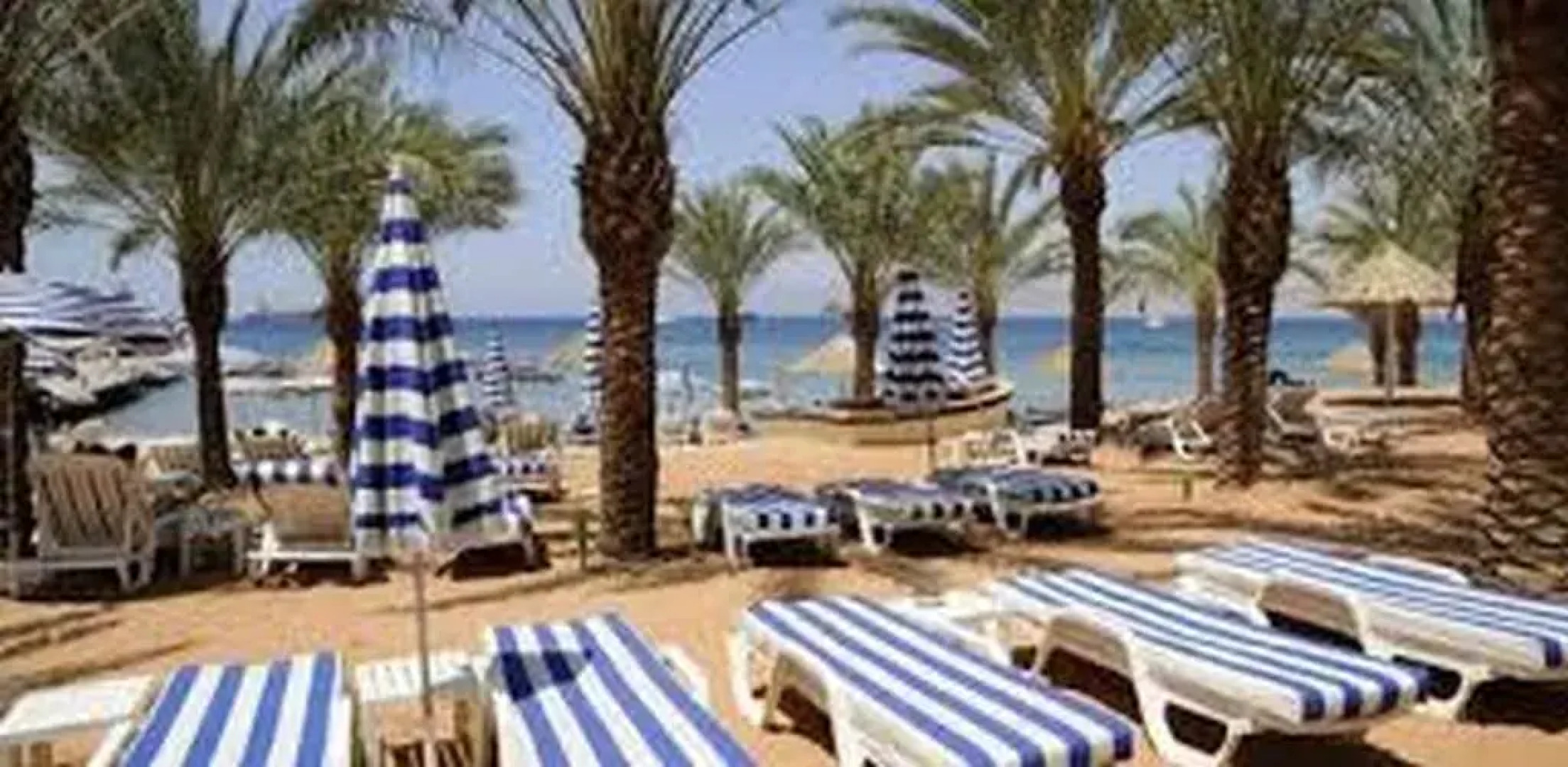 Diamond Palm Resort Hotel Aqaba