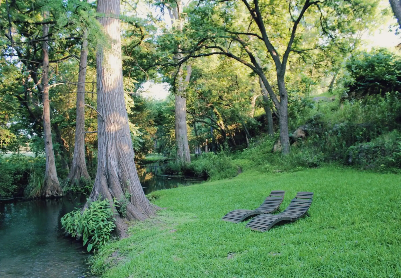 Frio Springs Lodges