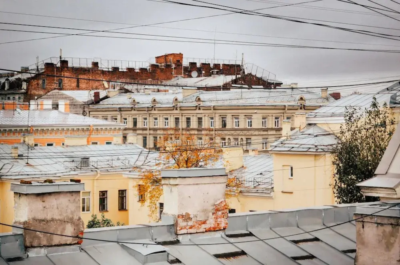 Жилое помещение Весёлый Жираф