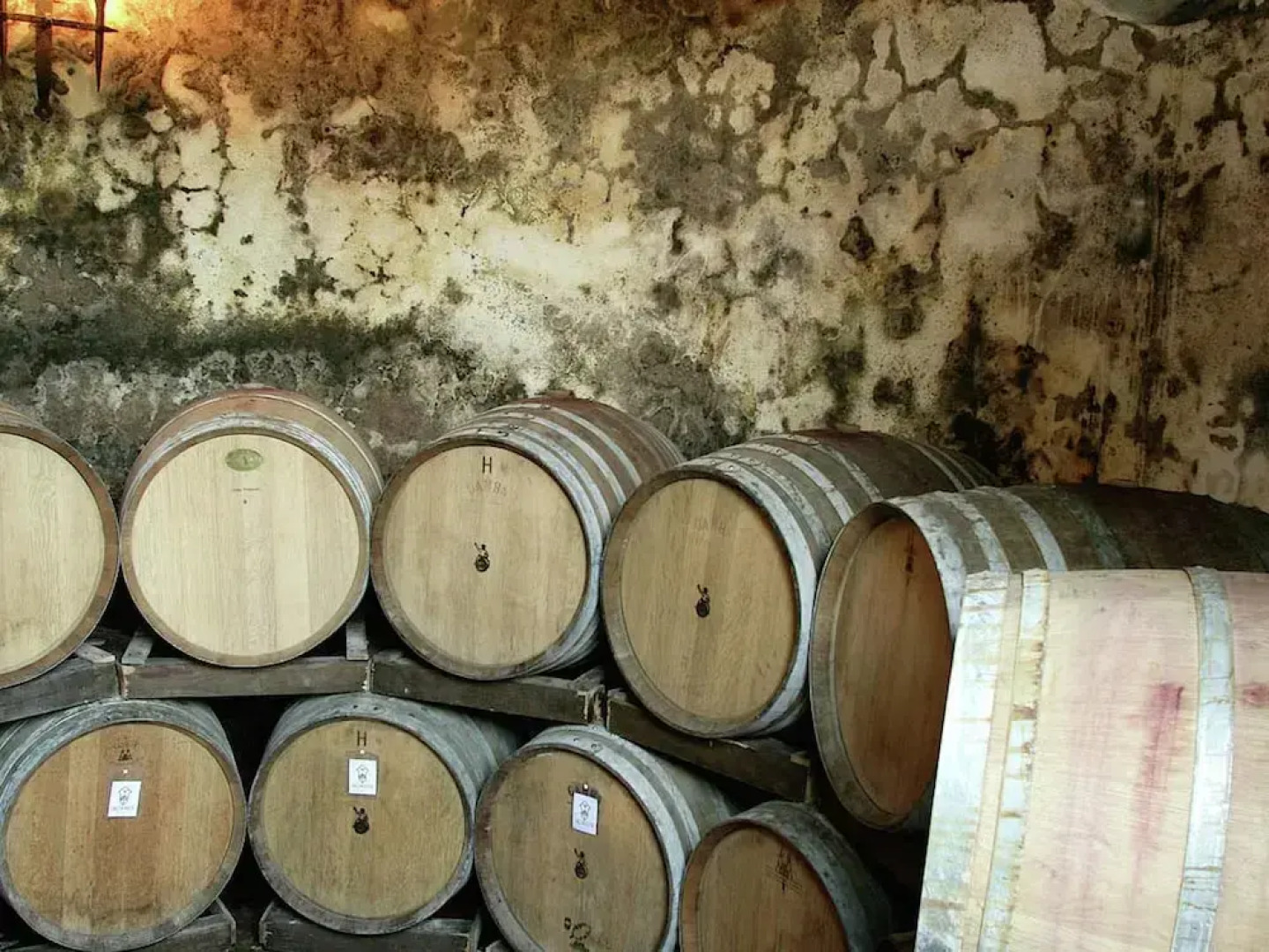 Charming Tuscan Farmhouse