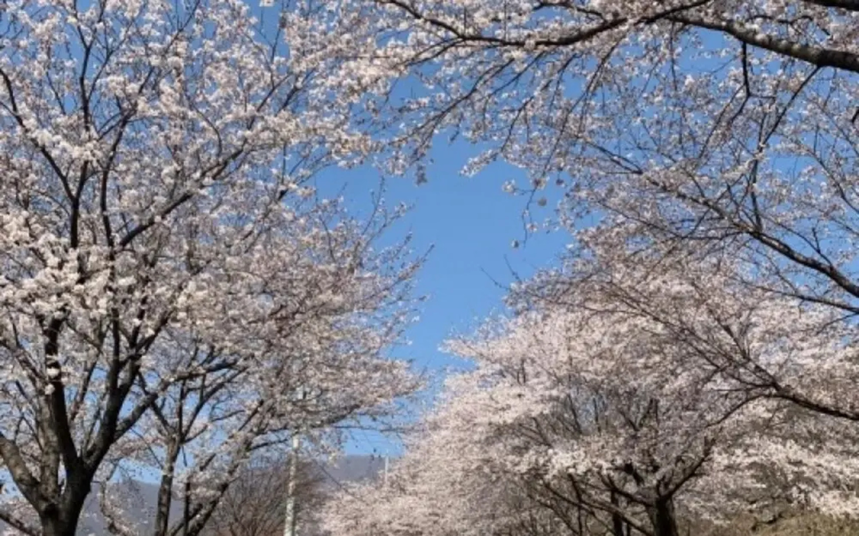 Gurye Jirisan Rosinante House Pension