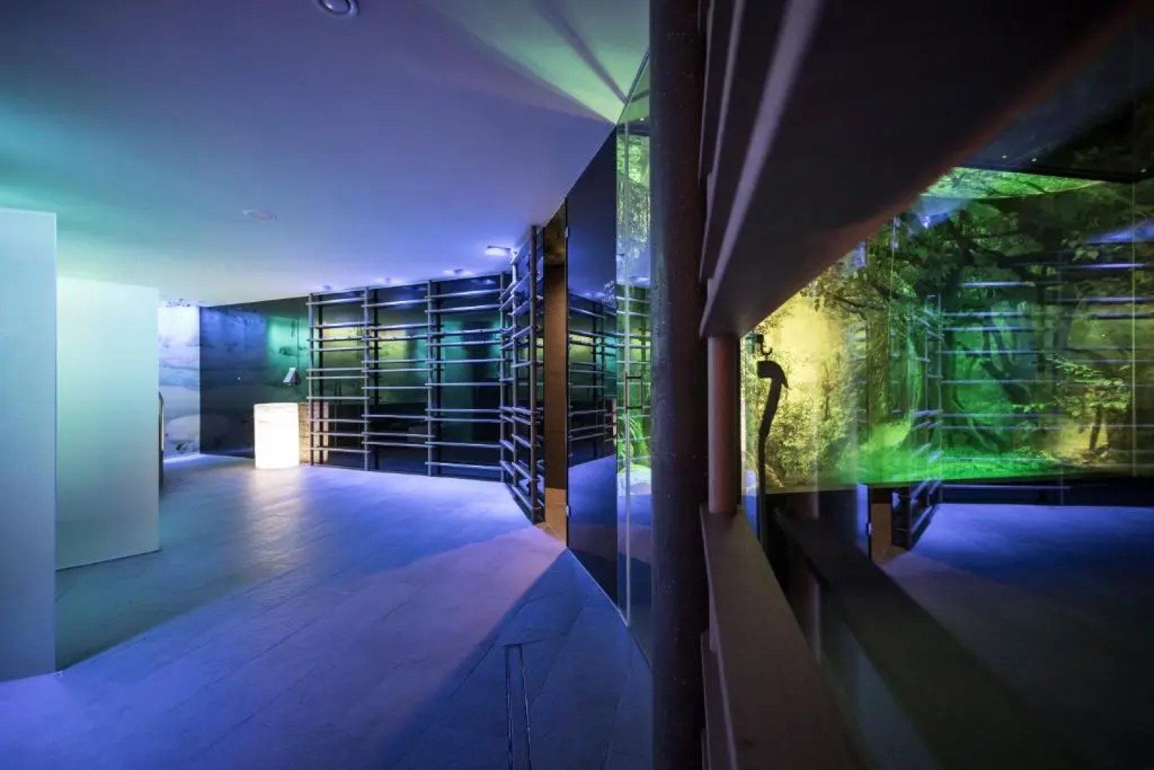 SPA & Relax Hotel Erika