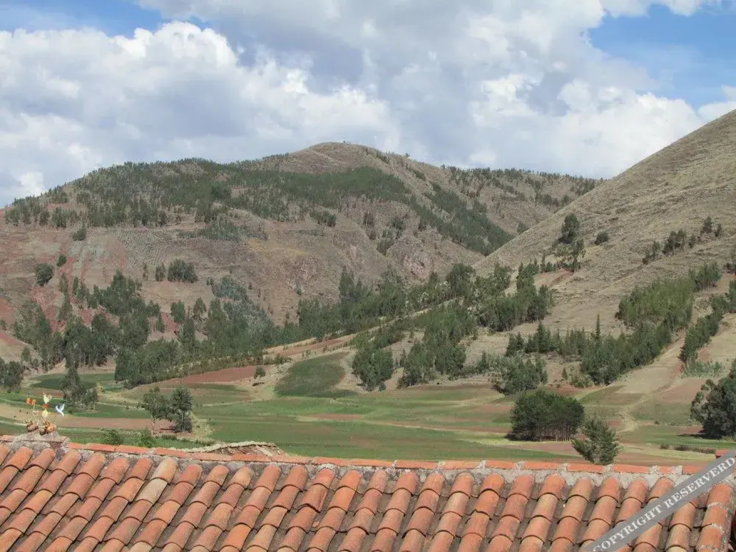GringoWasi B&B