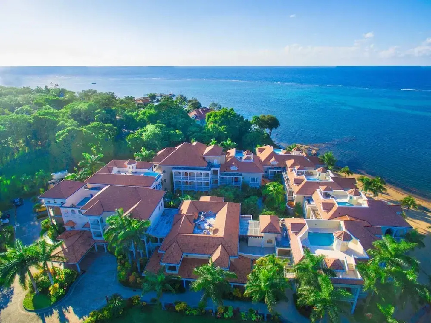 Lawson Rock - Angelfish 100