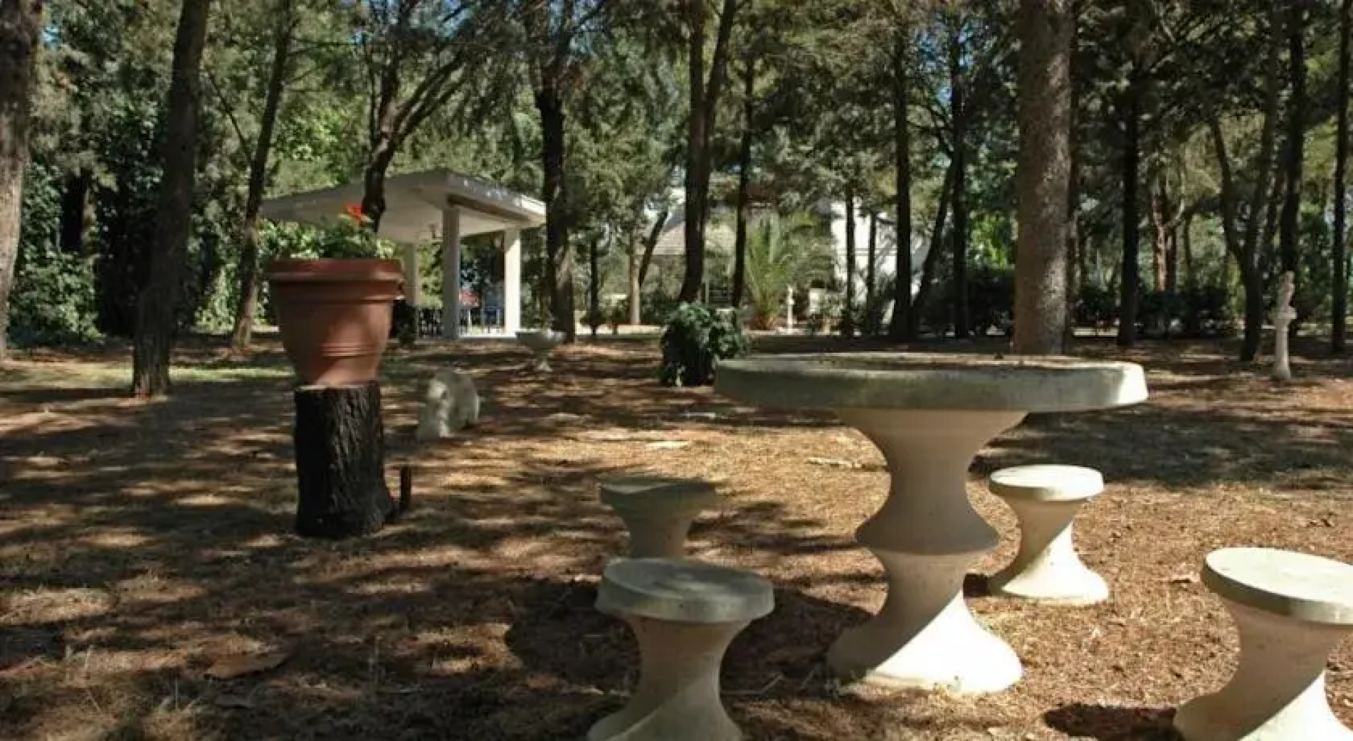 B&B La Pineta di Jovia