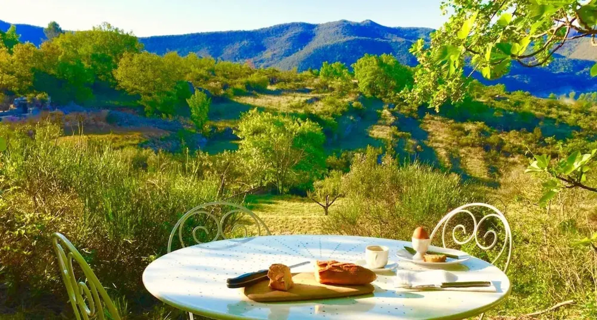 Wild Boar Mountain - France