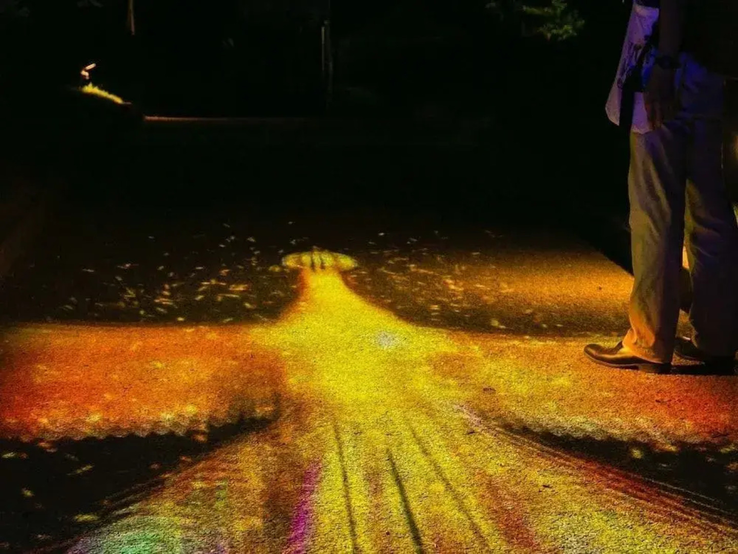 Grand Chariot Hokutoshichisei 135°