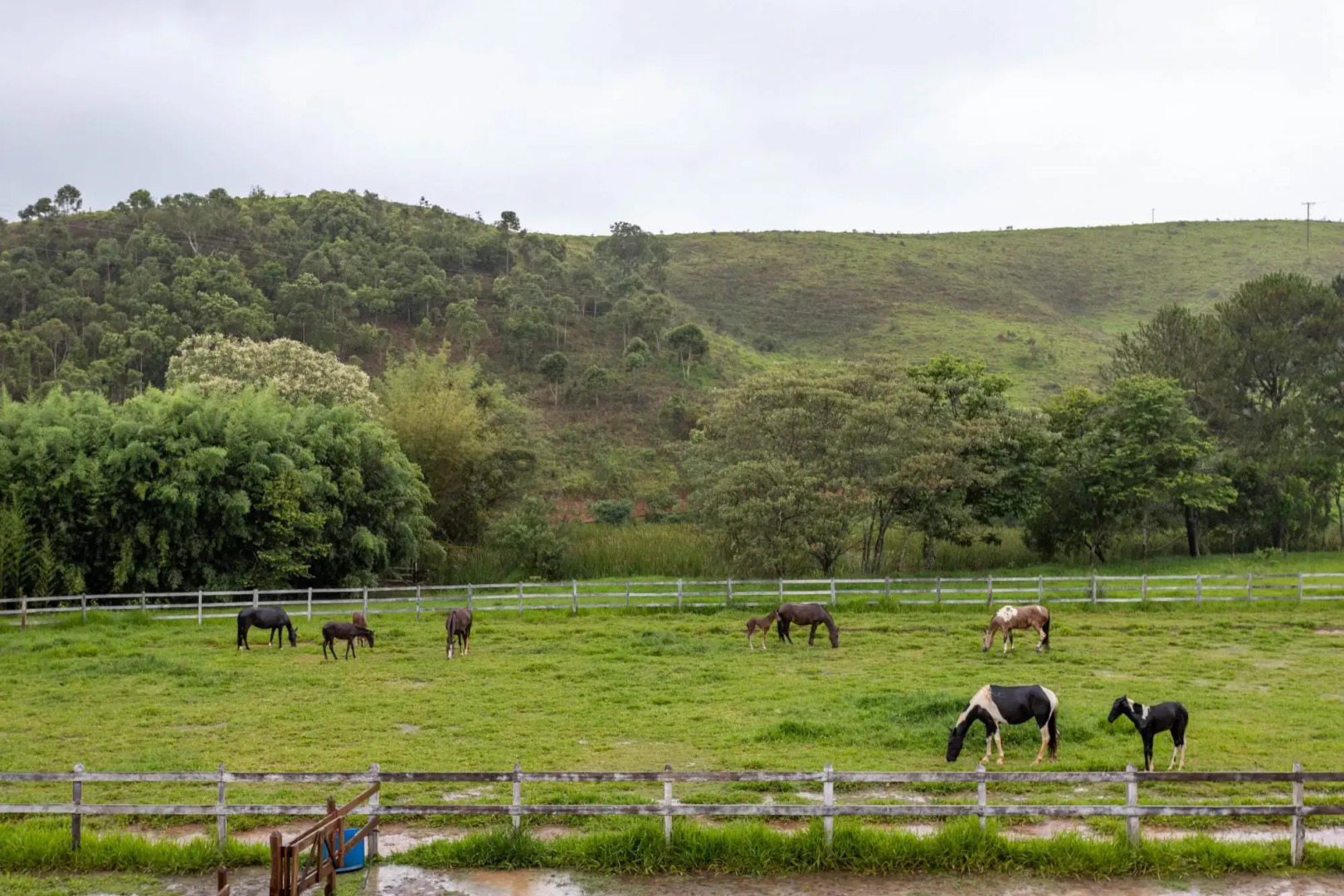 Farm in Pouso Alto MG Tranquility and Comfort