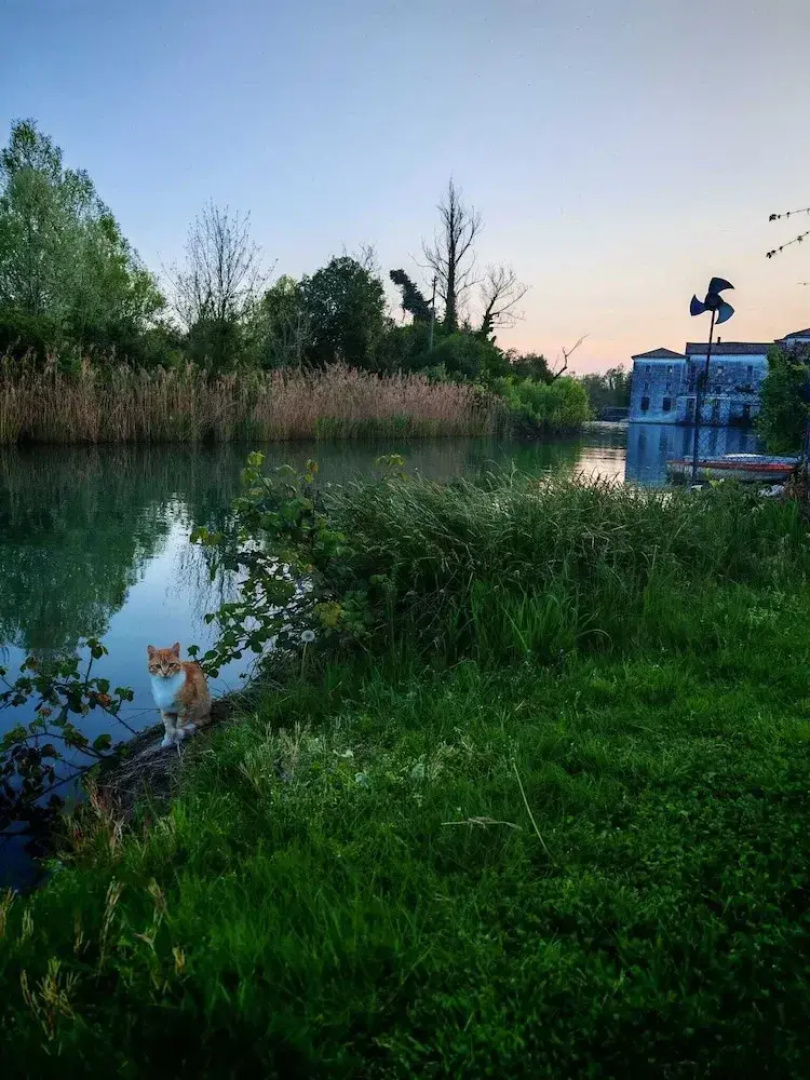 Locazione Riv'al Sile